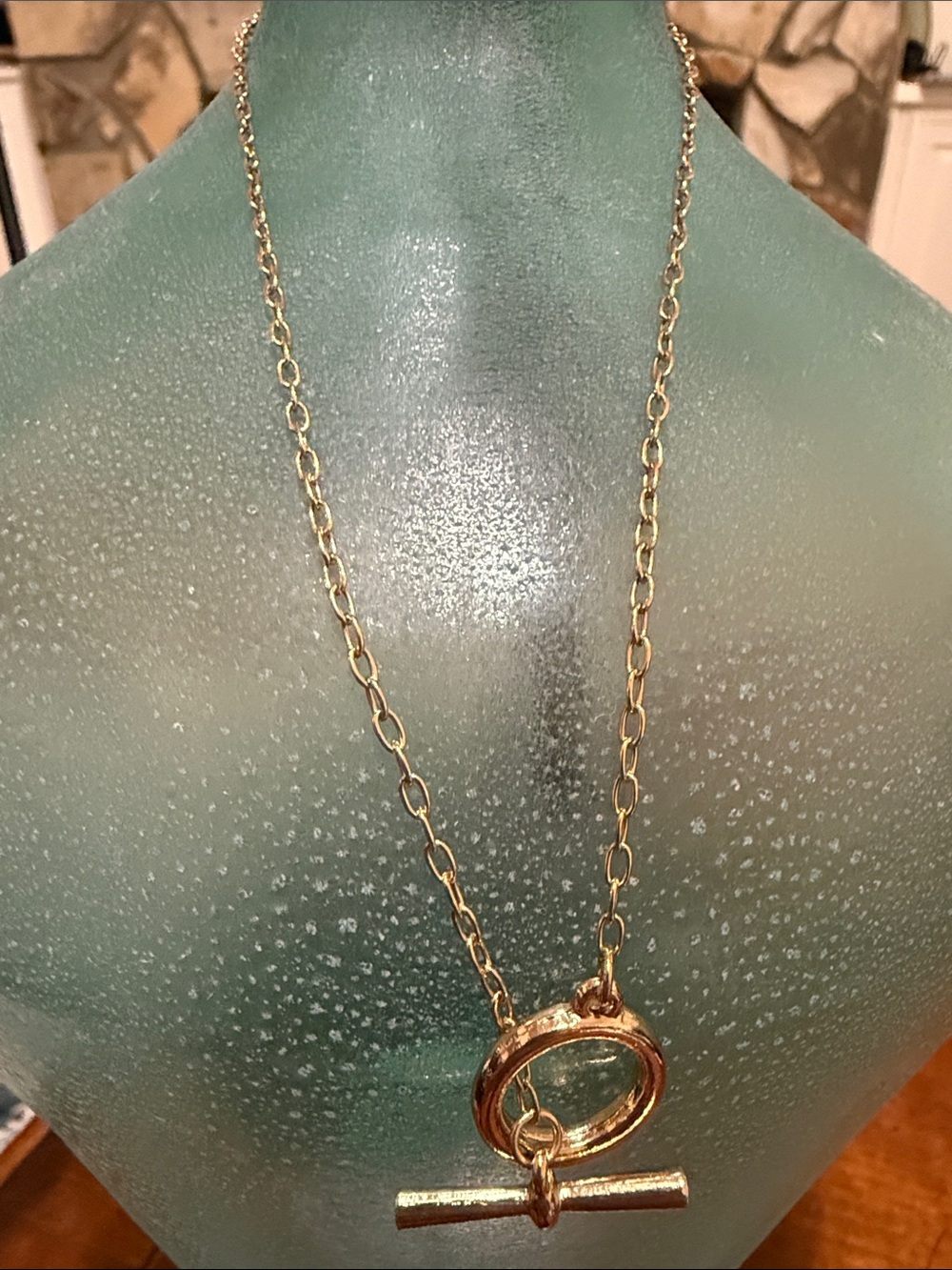 Gold Plated Toggle Circle Pendant Necklace from Anthropologie!!🔥🔥🔥